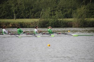 _MG_2230 - copia - copia