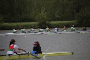 _MG_2364 - copia - copia