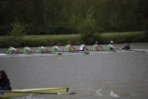 _MG_2365 - copia - copia