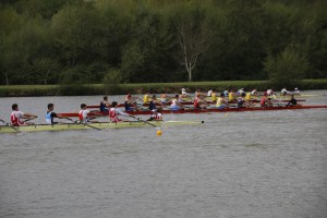 _MG_2375 - copia - copia