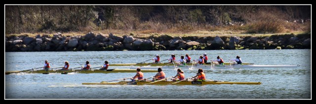 4X FEM HAE 20 FEB 2016