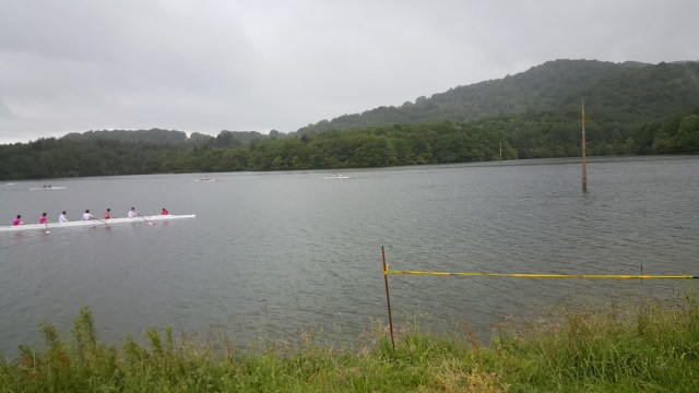 20160618_113114 - copia