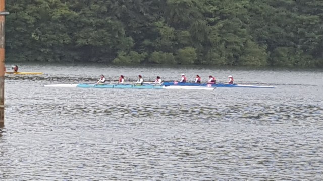 20160618_115441 - copia