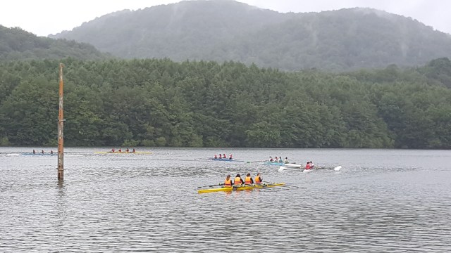 20160618_115522 - copia