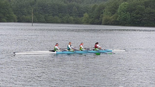 20160618_115629 - copia