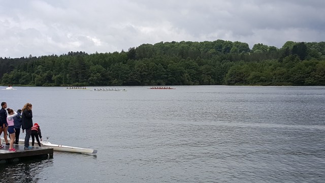 20160618_123637 - copia